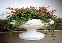 Pots de fleurs produits à partir du marbre artificiel